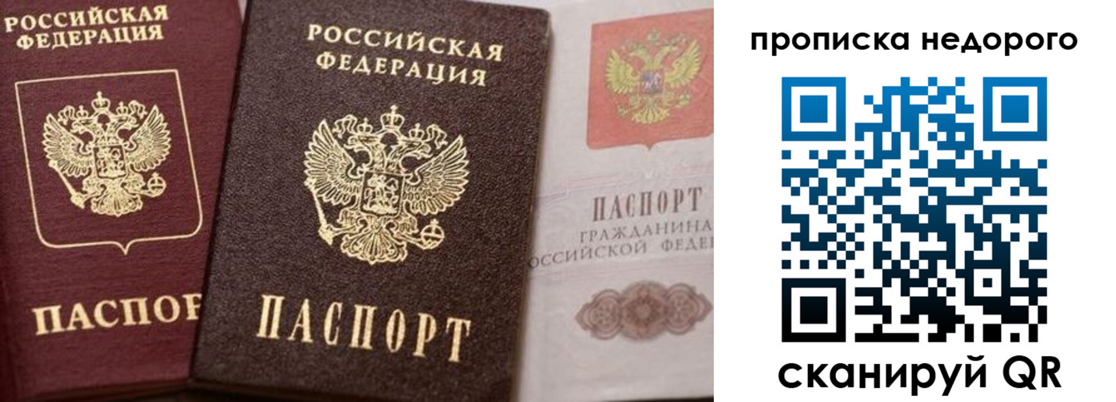 временная регистрация надежно в Могочи
